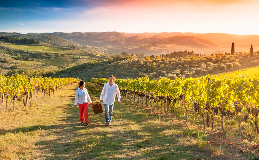 Beja é a primeira cidade europeia a receber cimeira mundial de enoturismo